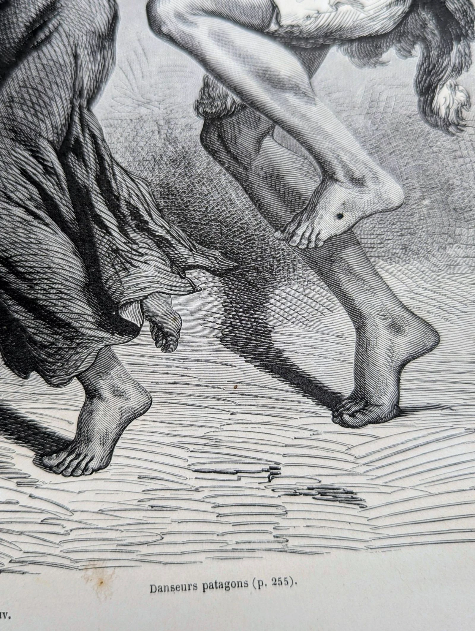 Danseurs Patagons, ilustração impressa em 1861. – photo 9